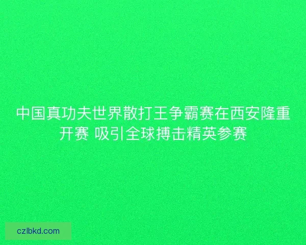 中国真功夫世界散打王争霸赛在西安隆重开赛 吸引全球搏击精英参赛